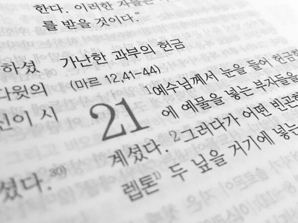 私の韓国語学習物語：あの頃の経験から学んだ大切なこと